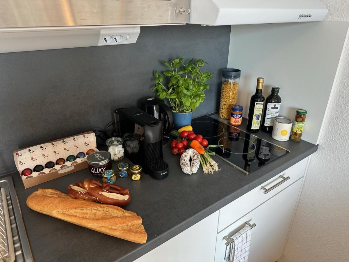 Stilvolles Und Modernes Appartement Mit Sonnigem Balkon In Flughafen- Und Messenaehe 31 Leinfelden-Echterdingen Luaran gambar