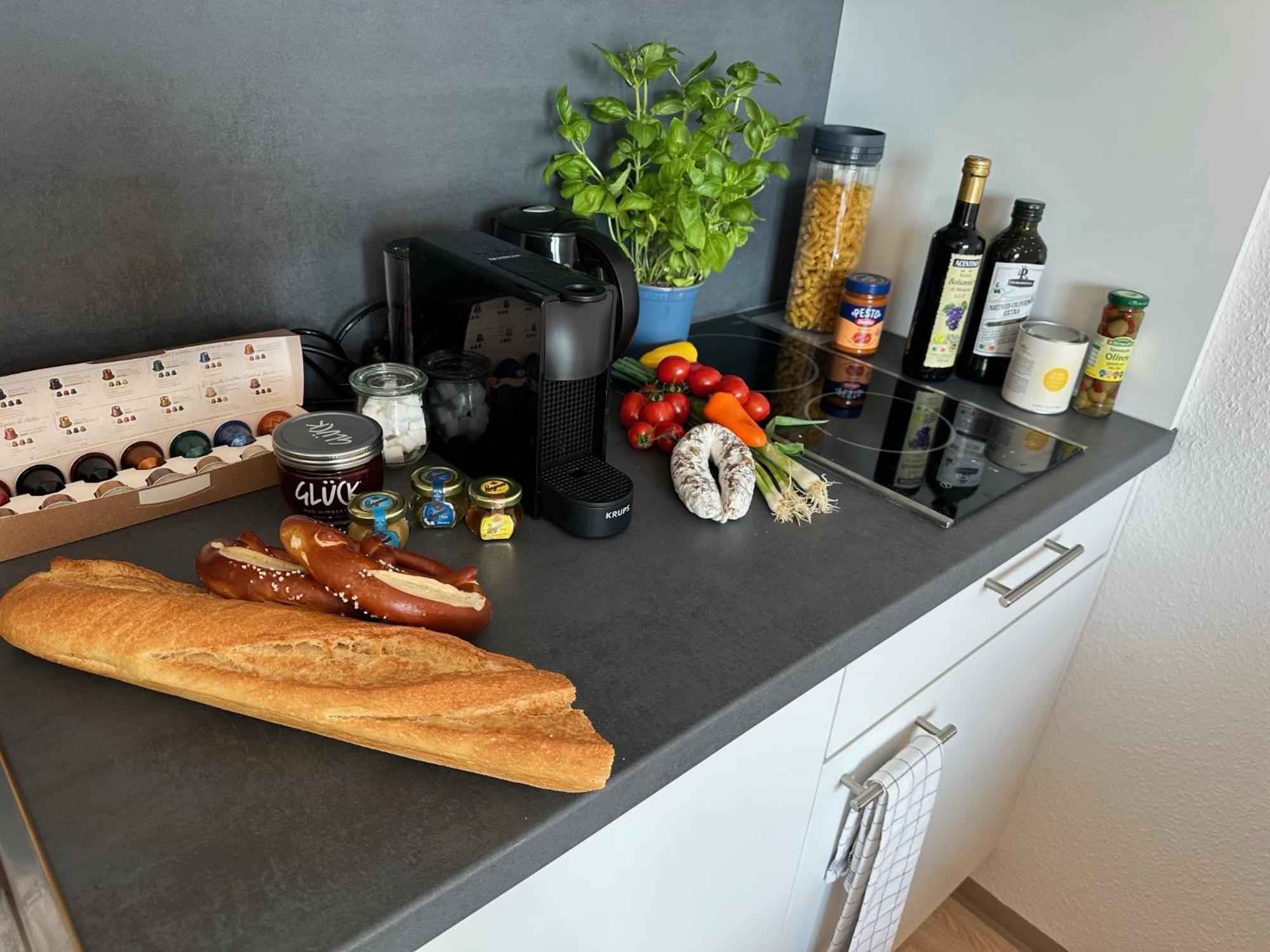 Stilvolles Und Modernes Appartement Mit Sonnigem Balkon In Flughafen- Und Messenaehe 31 Leinfelden-Echterdingen Luaran gambar